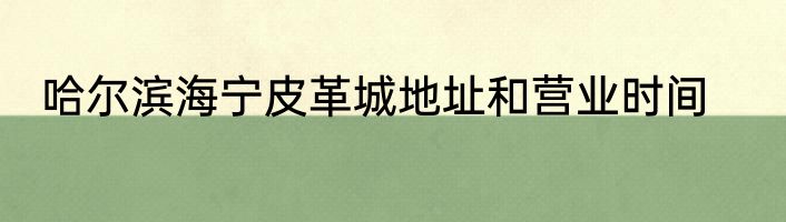 哈尔滨海宁皮革城地址和营业时间