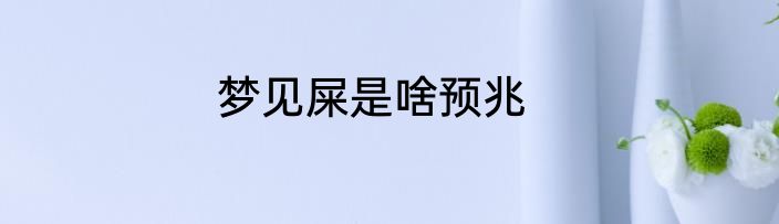 梦见屎是啥预兆