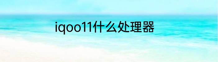 iqoo11什么处理器