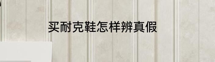 买耐克鞋怎样辨真假