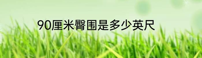 90厘米臀围是多少英尺