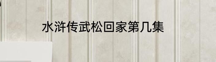 水浒传武松回家第几集