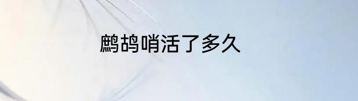 鹧鸪哨活了多久
