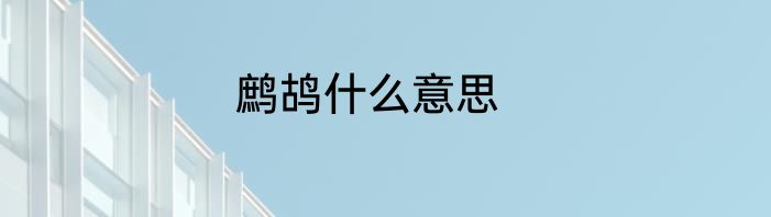 鹧鸪什么意思