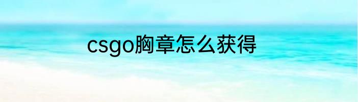 csgo胸章怎么获得
