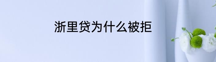 浙里贷为什么被拒