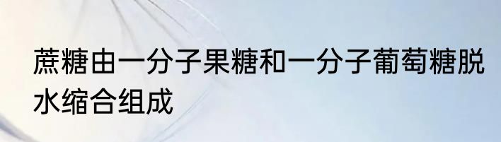 蔗糖由一分子果糖和一分子葡萄糖脱水缩合组成