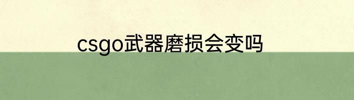 csgo武器磨损会变吗