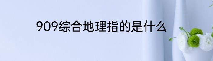 909综合地理指的是什么