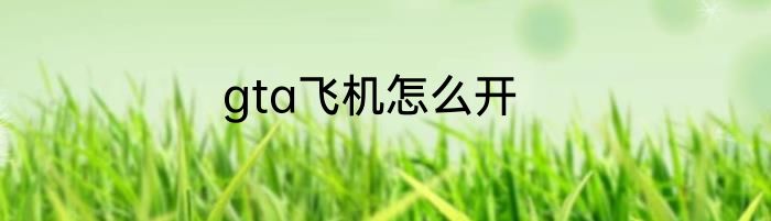 gta飞机怎么开