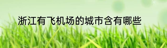 浙江有飞机场的城市含有哪些