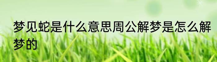 梦见蛇是什么意思周公解梦是怎么解梦的