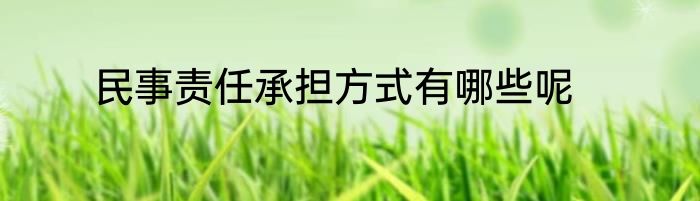 民事责任承担方式有哪些呢