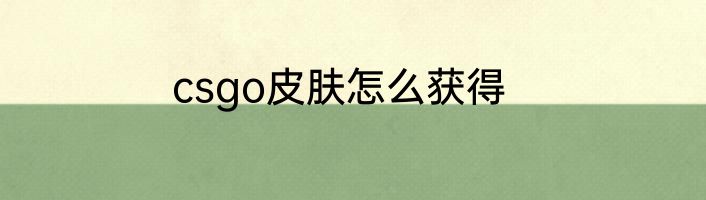 csgo皮肤怎么获得