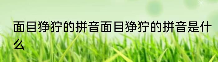 面目狰狞的拼音面目狰狞的拼音是什么