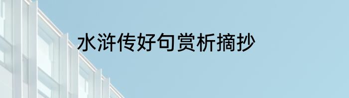 水浒传好句赏析摘抄