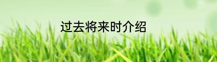 过去将来时介绍