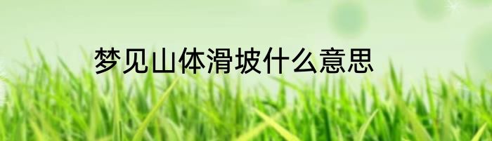梦见山体滑坡什么意思