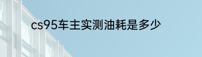 cs95车主实测油耗是多少