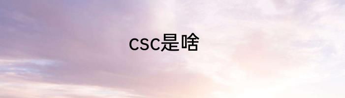 csc是啥