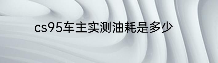 cs95车主实测油耗是多少