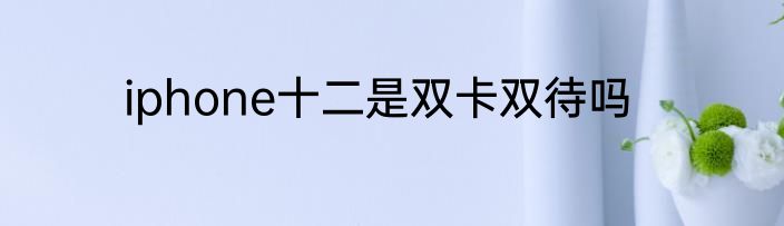 iphone十二是双卡双待吗