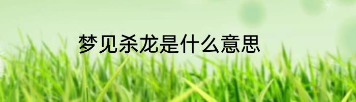 梦见杀龙是什么意思
