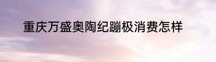 重庆万盛奥陶纪蹦极消费怎样