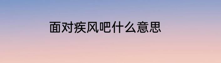 面对疾风吧什么意思