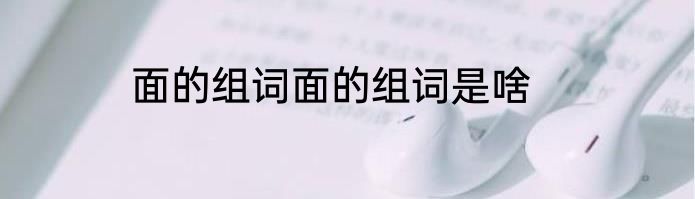 面的组词面的组词是啥