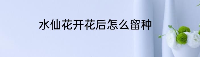 水仙花开花后怎么留种