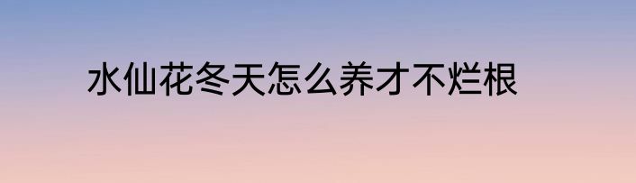 水仙花冬天怎么养才不烂根
