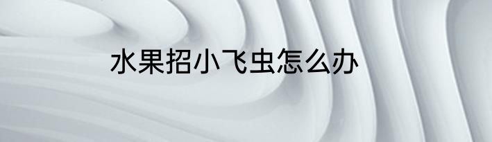 水果招小飞虫怎么办