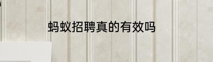 蚂蚁招聘真的有效吗