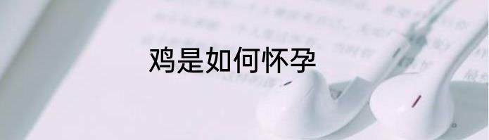 鸡是如何怀孕