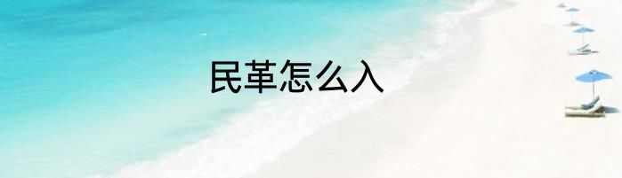 民革怎么入