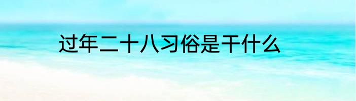 过年二十八习俗是干什么