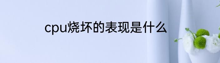 cpu烧坏的表现是什么