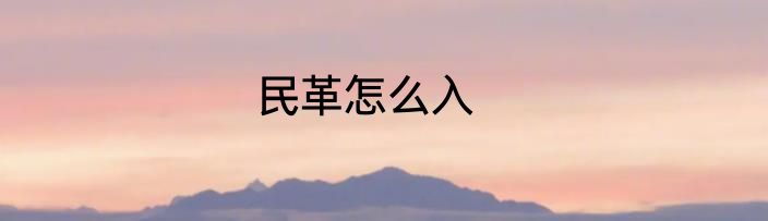 民革怎么入