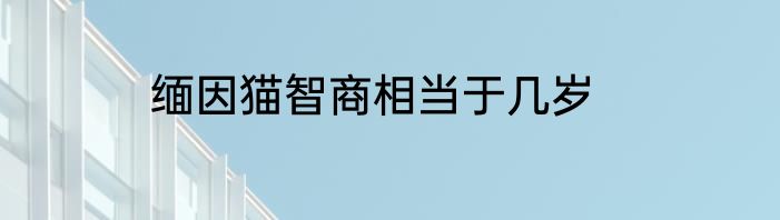 缅因猫智商相当于几岁