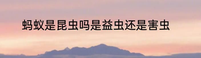蚂蚁是昆虫吗是益虫还是害虫