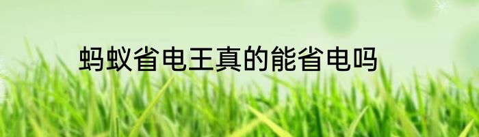 蚂蚁省电王真的能省电吗