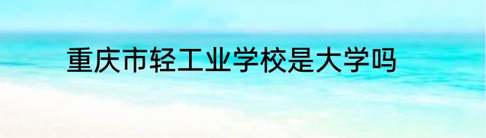 重庆市轻工业学校是大学吗
