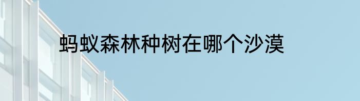 蚂蚁森林种树在哪个沙漠