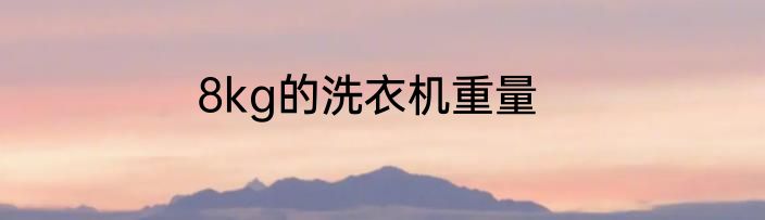 8kg的洗衣机重量