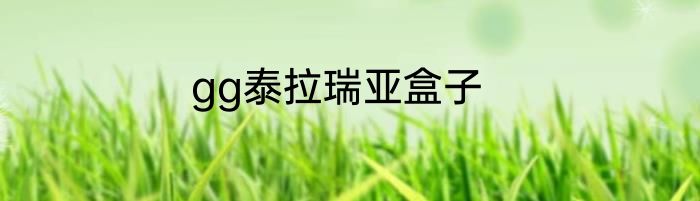gg泰拉瑞亚盒子