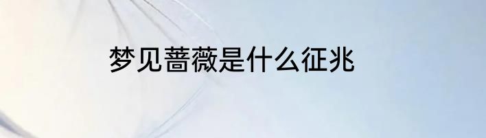梦见蔷薇是什么征兆