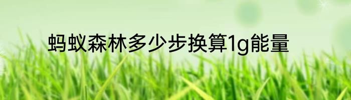 蚂蚁森林多少步换算1g能量