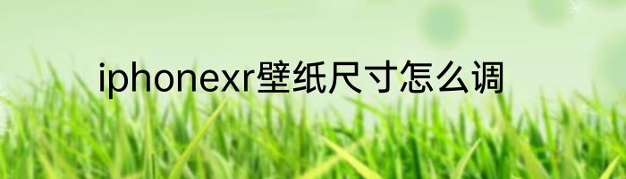 iphonexr壁纸尺寸怎么调