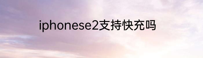 iphonese2支持快充吗